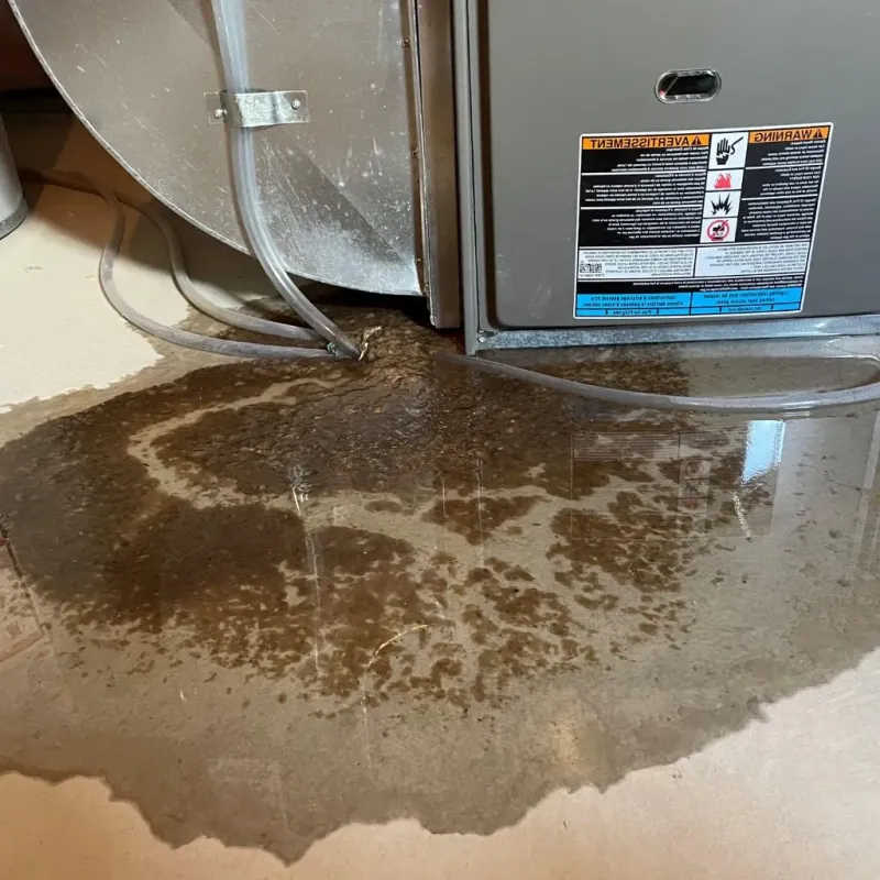 Pipe Burst and Leak Restoration in Erlanger, KY